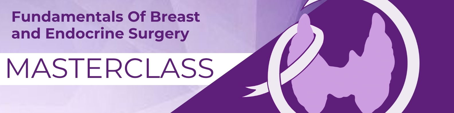 SIG coverage of 1st Annual Fundamentals of Breast & Endocrine Surgery Masterclass